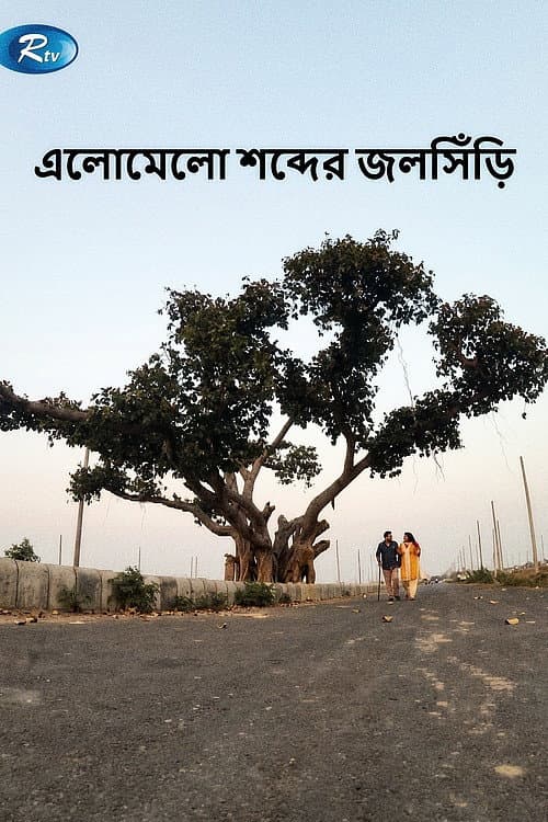 Elomelo Shobder Jolshiri poster