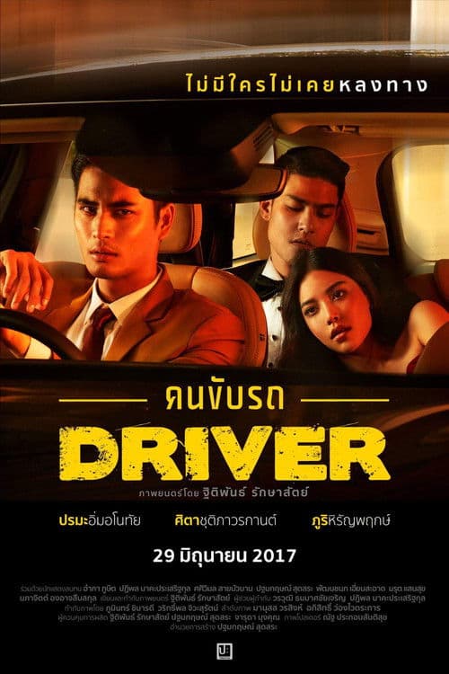 The Driver poster