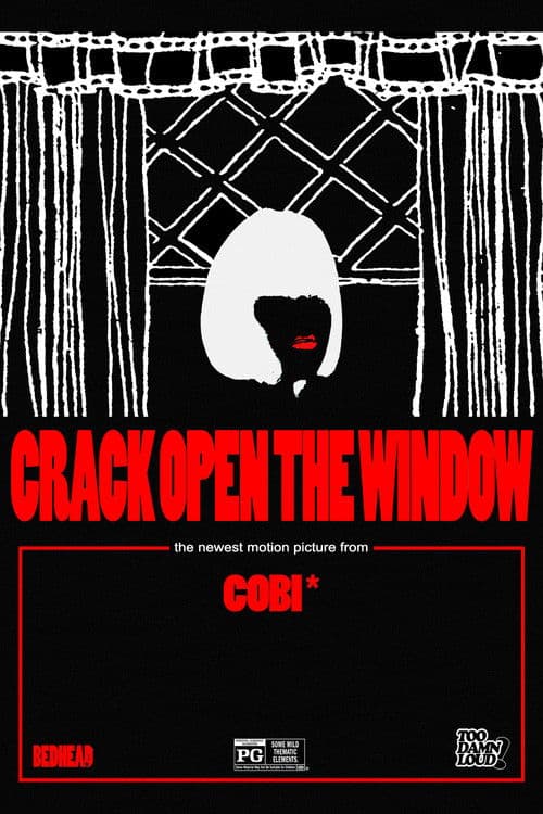 Crack Open The Window poster