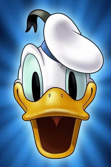 Duck Flies Coop poster