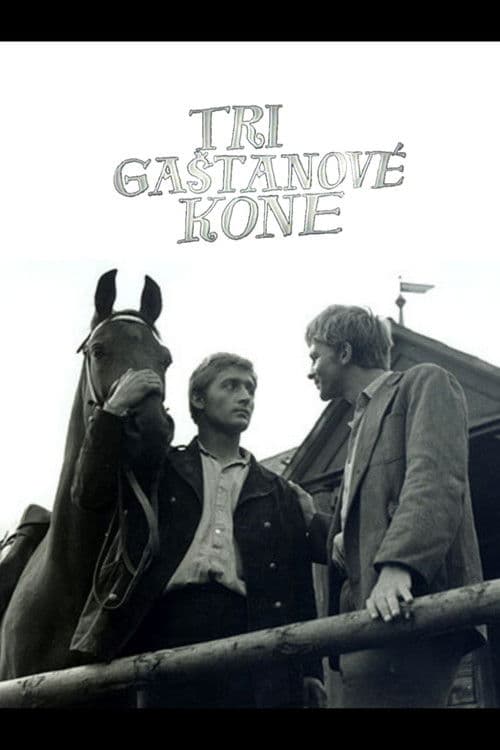 Tri gaštanové kone poster
