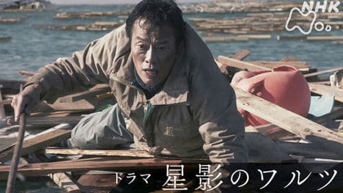 星影のワルツ poster