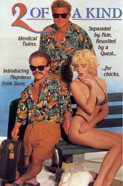 2 of a Kind poster