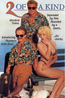 2 of a Kind poster