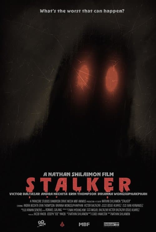STALKER poster