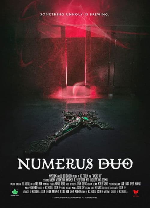 Numerus Duo poster