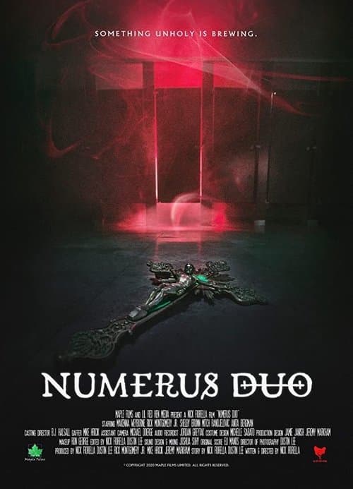 Numerus Duo poster