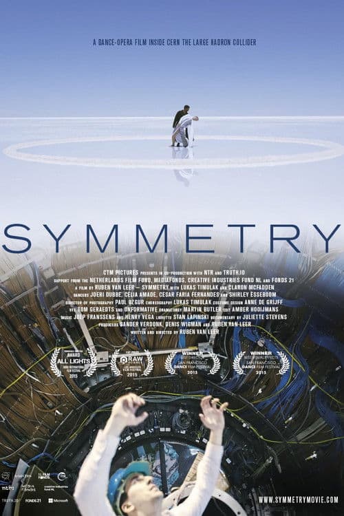 Symmetry poster