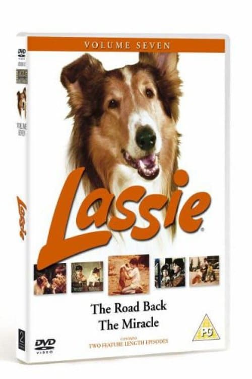 Lassie - The Road Back poster