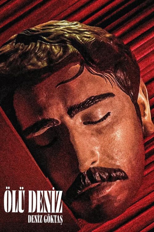 Deniz Goktas: Dead Sea poster