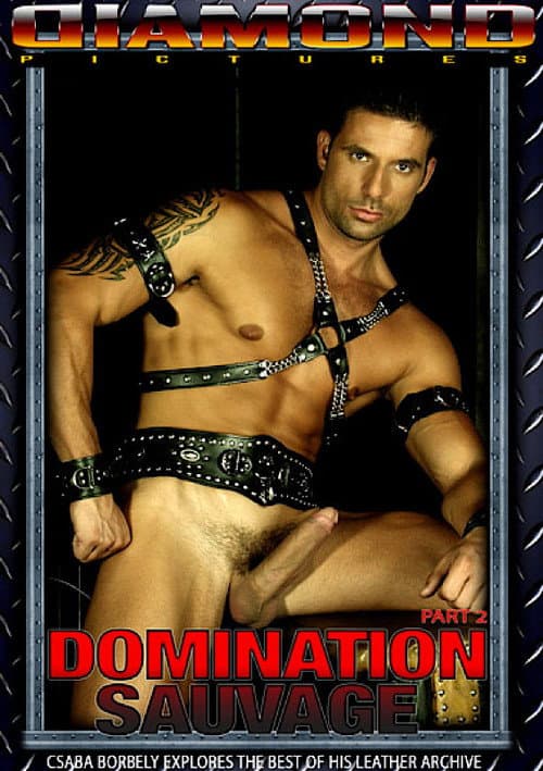 Domination Sauvage 2 poster