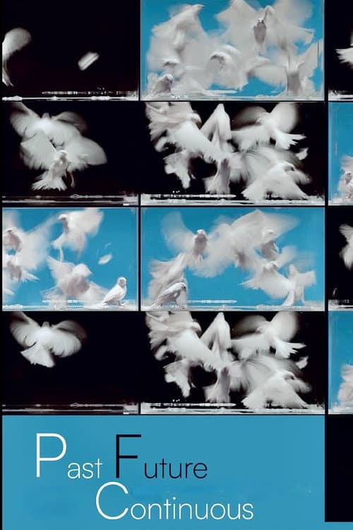 Past Future Continuous poster