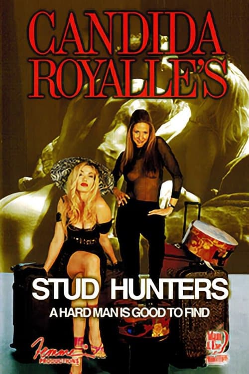 Stud Hunters poster