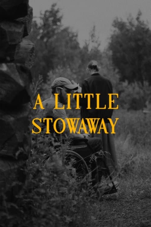 A Little Stowaway poster