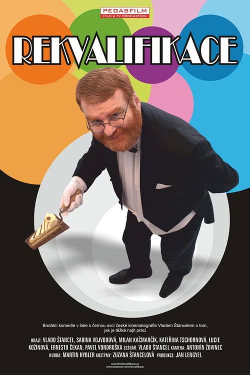 Rekvalifikace poster