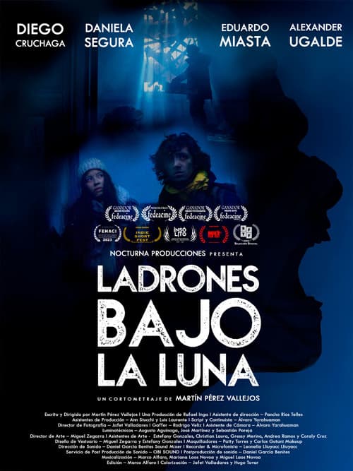 THIEVES UNDER THE MOON poster