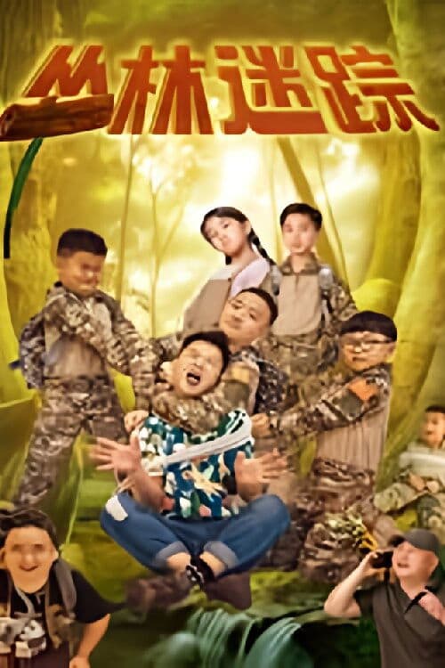 丛林迷踪 poster