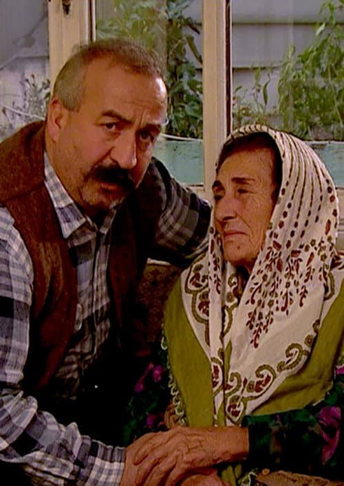 Ana Sütü poster