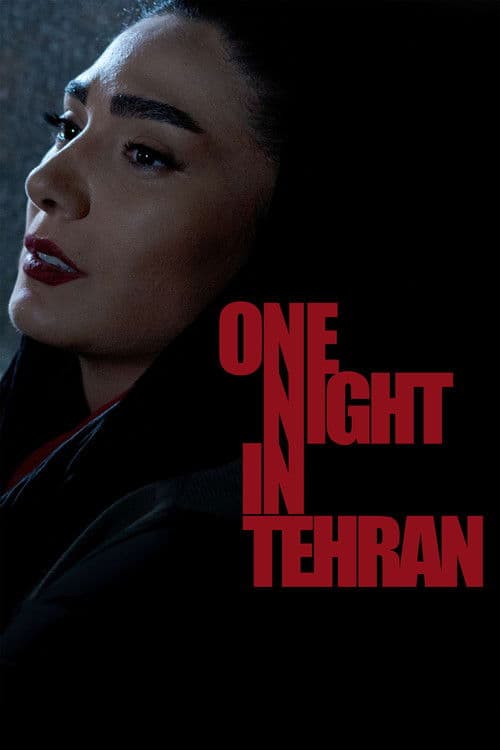 One Night in Tehran poster