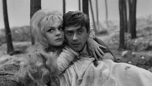 Princezna Pampeliška poster