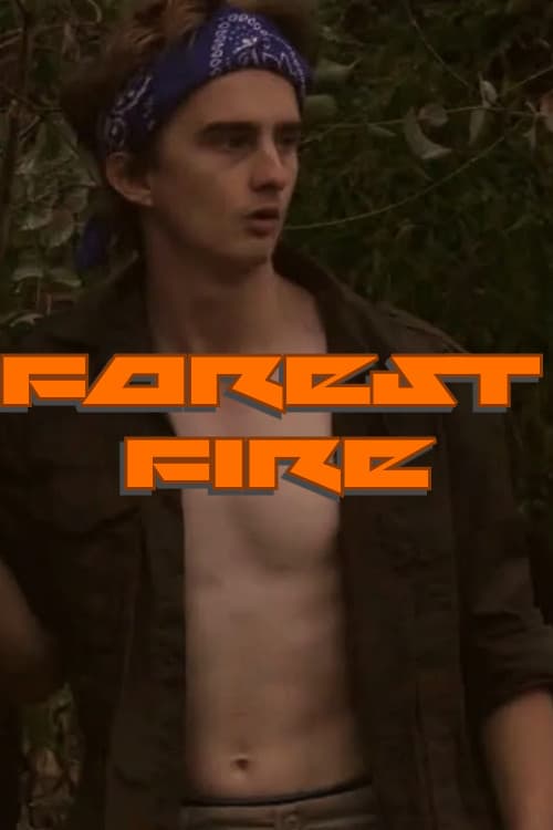 Forest Fire poster