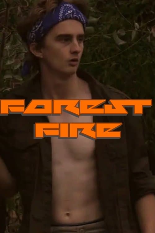 Forest Fire poster