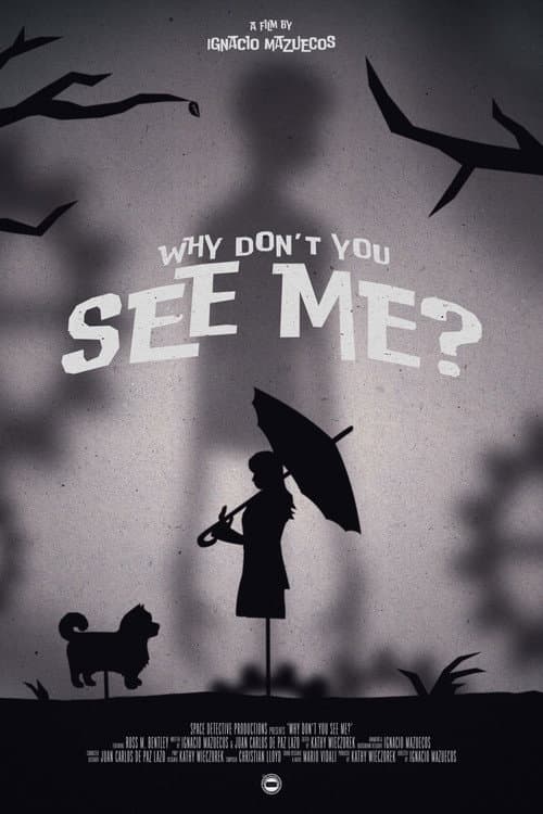 Why Don't You See Me? poster