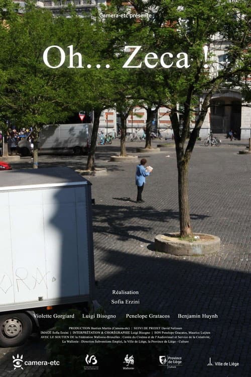 Oh... Zeca ! poster