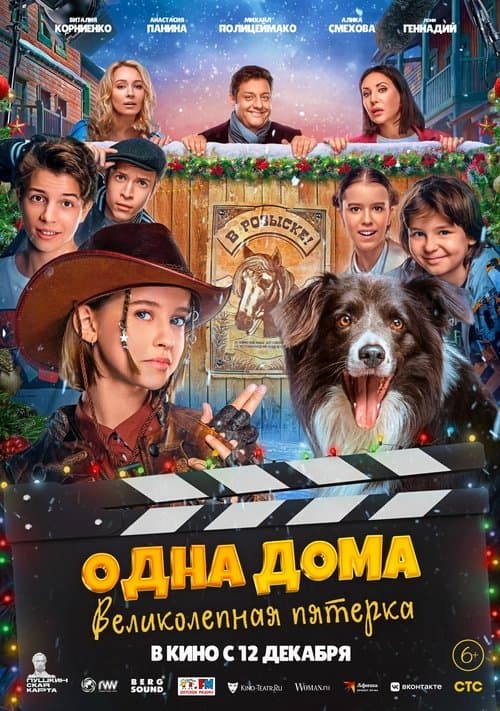 Alone at Home. The Magnificent Five poster