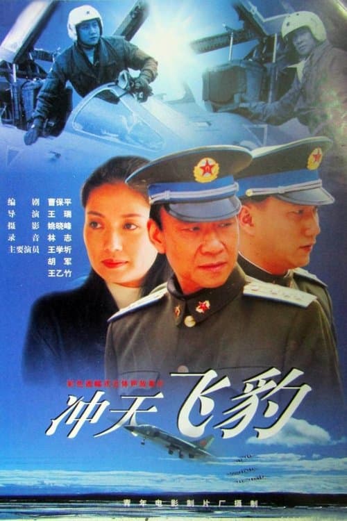 冲天飞豹 poster