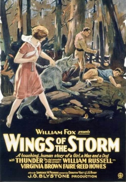 Wings of the Storm poster