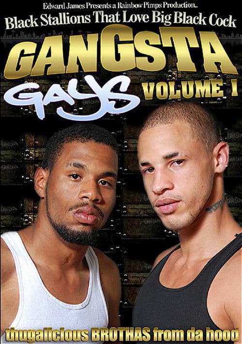 Gangsta Gays 1 poster