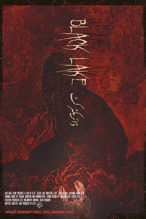 Black Lake: Director's Cut poster