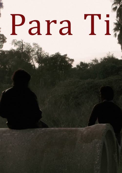 Para Ti poster