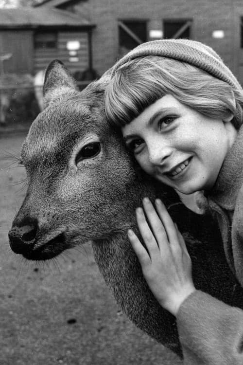 Jacqueline Ryan profile photo