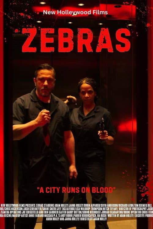 Zebras poster