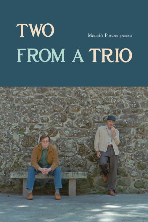 Two from a Trio poster