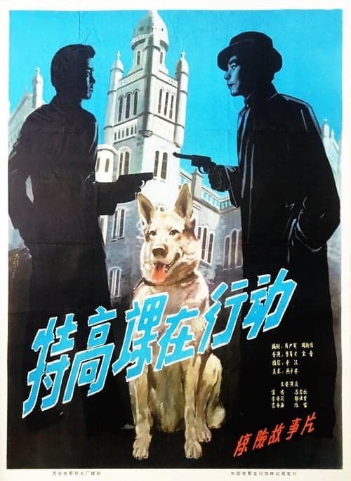 The Secret Service in Action poster