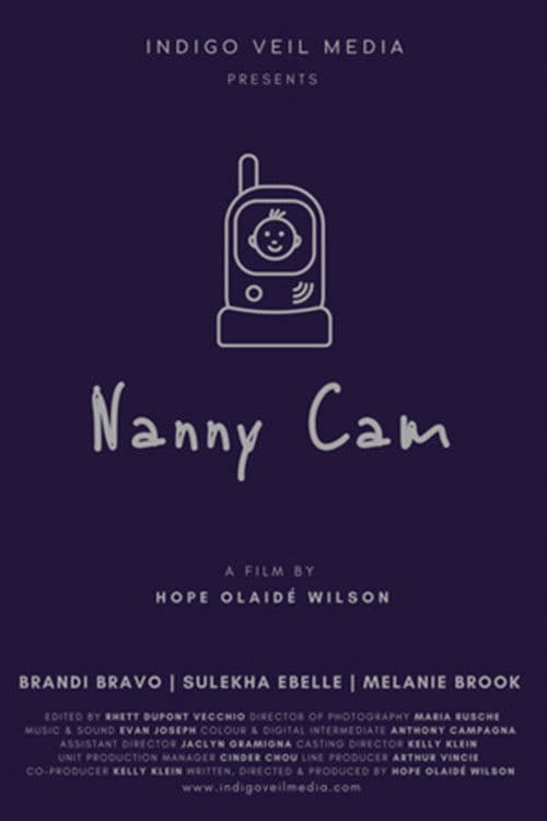 Nanny Cam poster