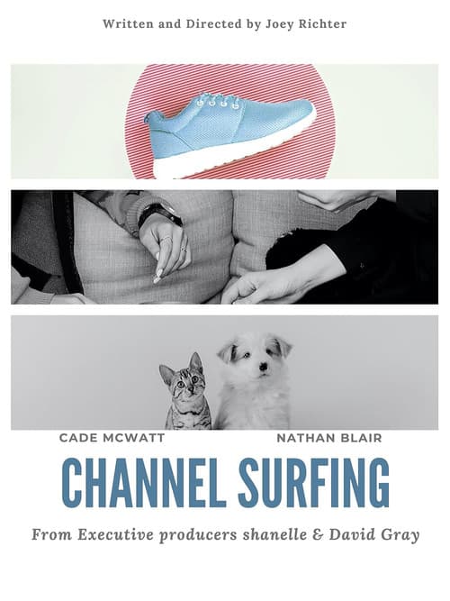 Channel Surfing poster