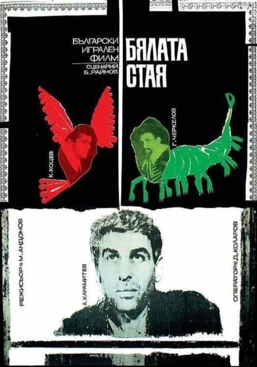 The White Room poster