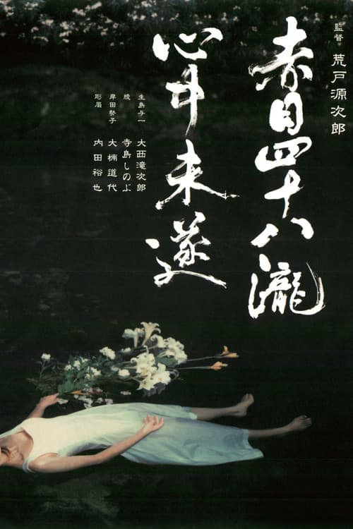 Akame 48 Waterfalls poster