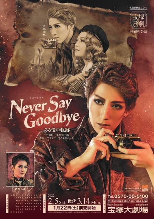 Never Say Goodbye poster
