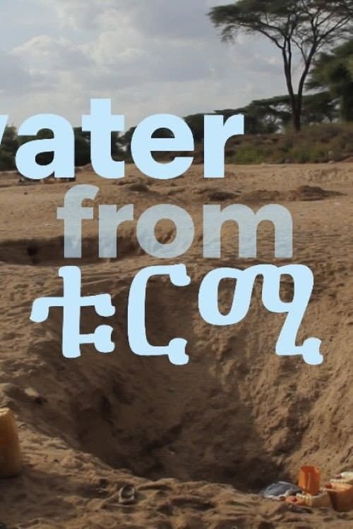 The water from Turmi poster