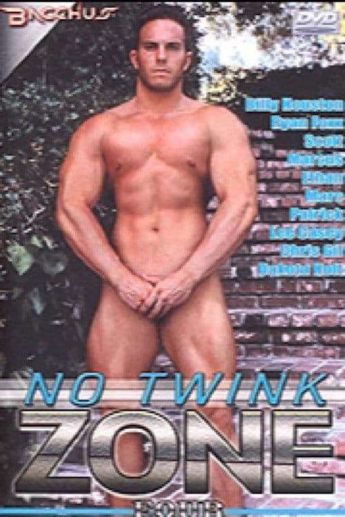 No Twink Zone 4 poster