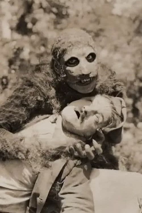 Unknown Treasures poster