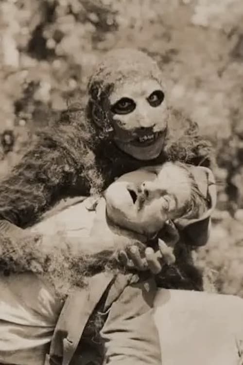 Unknown Treasures poster