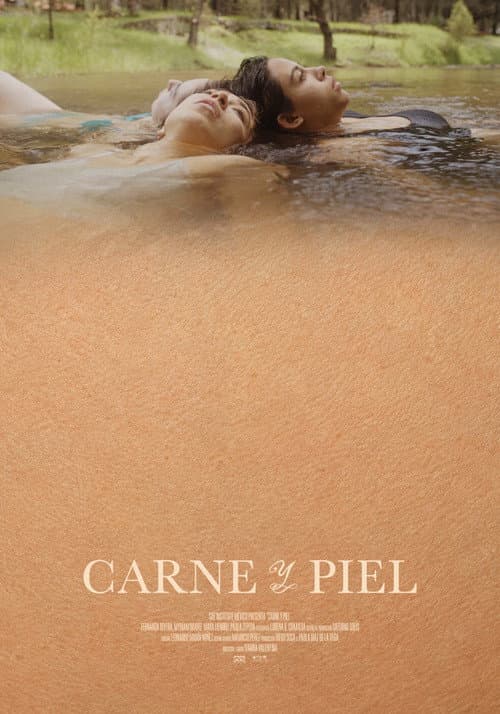 CARNE Y PIEL poster