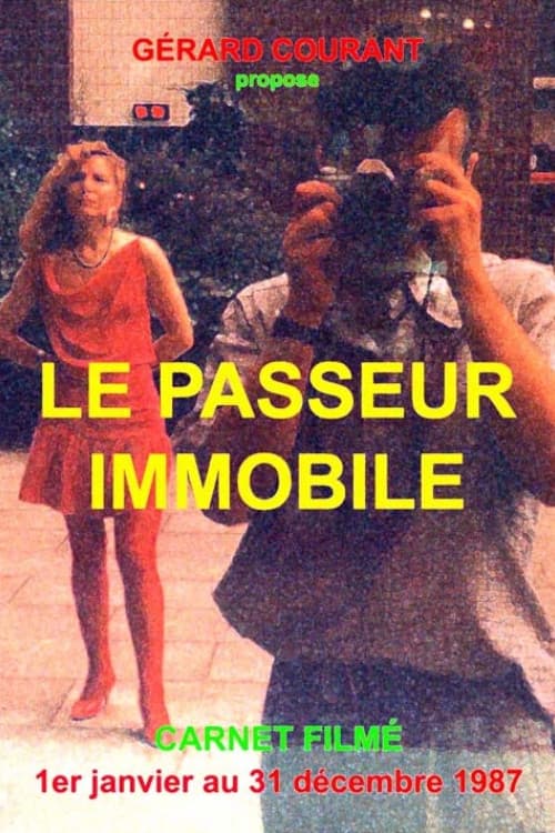 Le Passeur immobile poster
