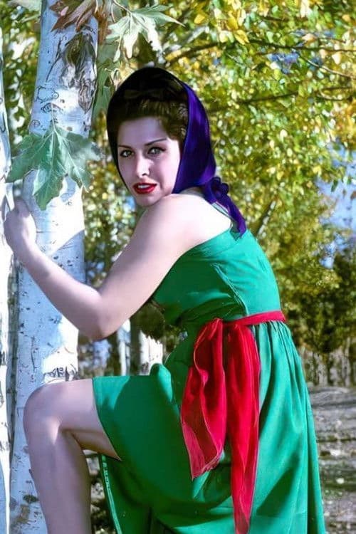 Zhale Heravi profile photo